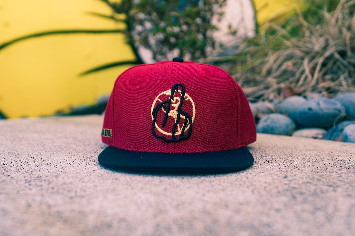Logo Hat