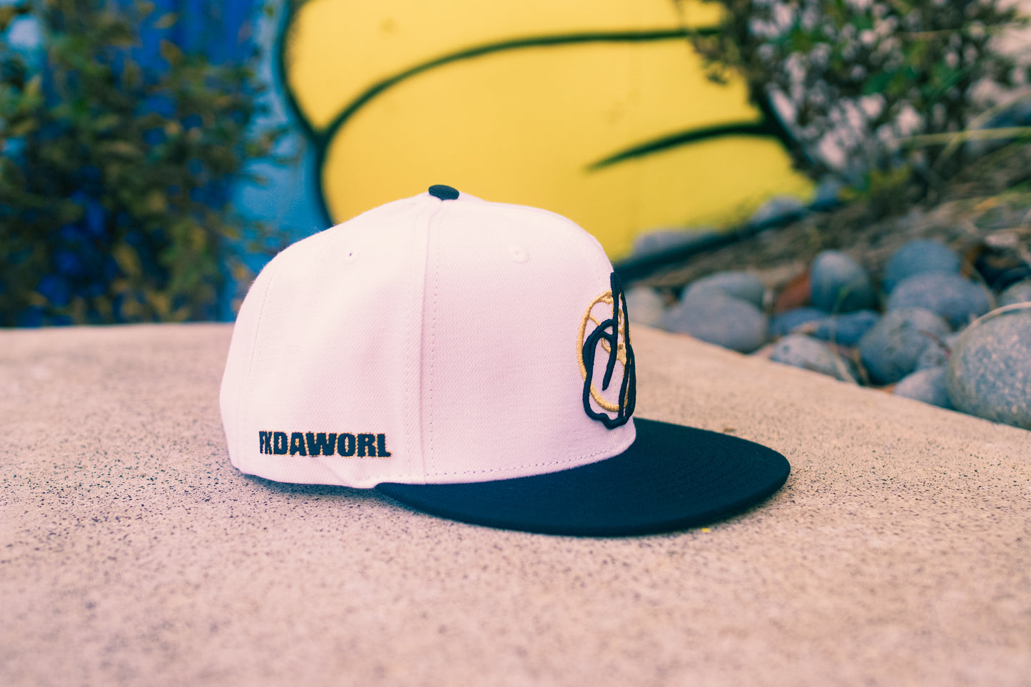 Logo Hat