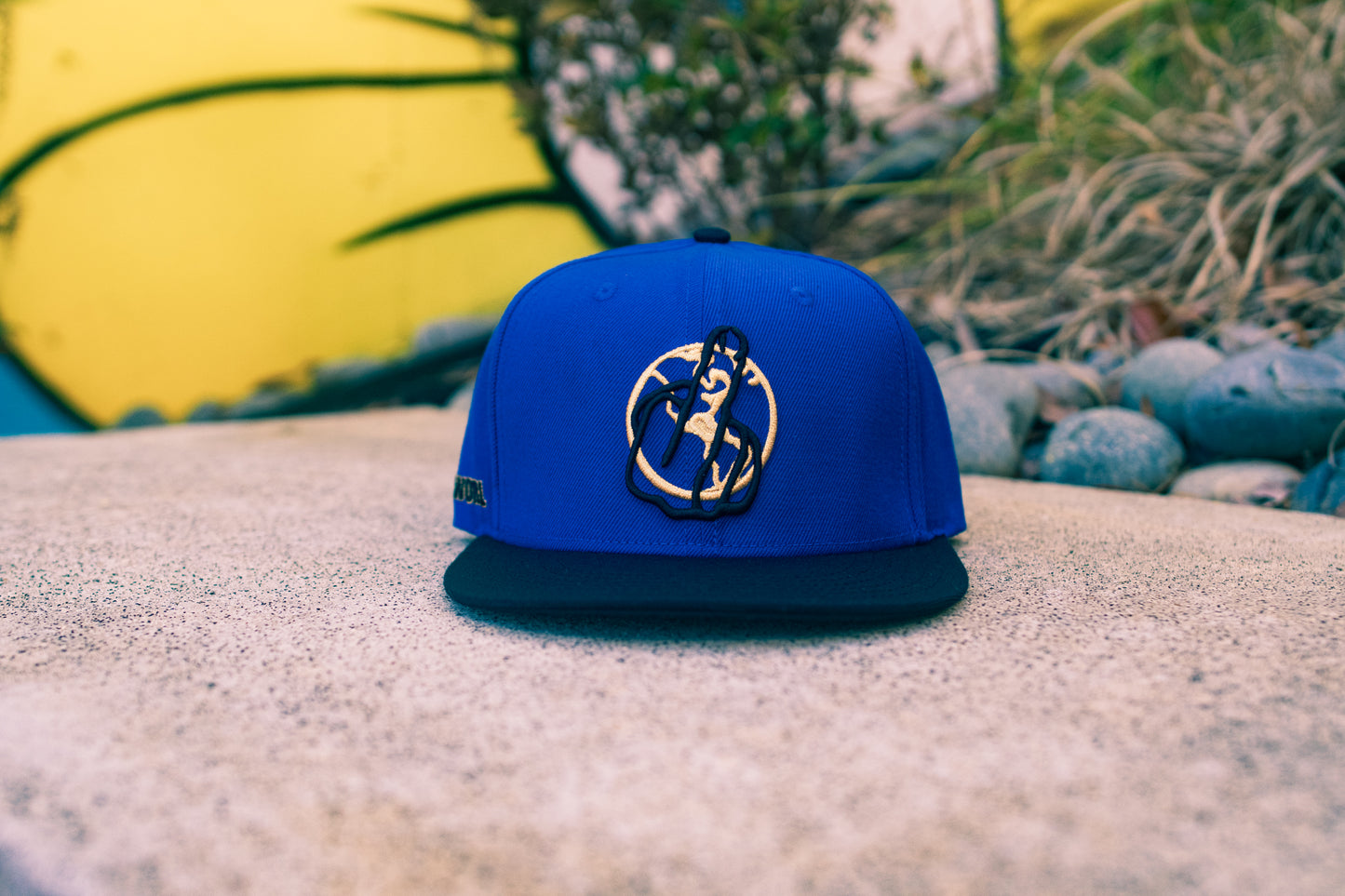 Logo Hat